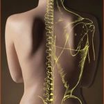 quiropractica