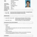 Modelo curriculum vitae