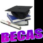 Tipos De Becas
